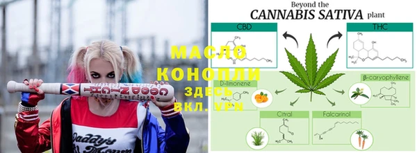 молекула духа Волоколамск